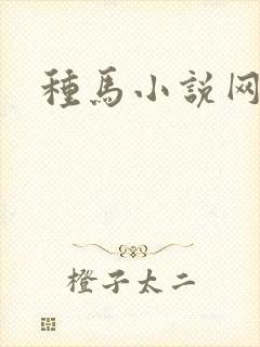 种马小说网