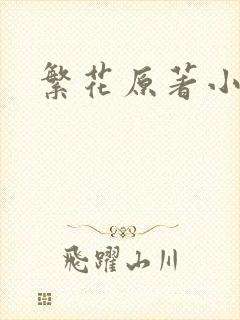 繁花原著小说