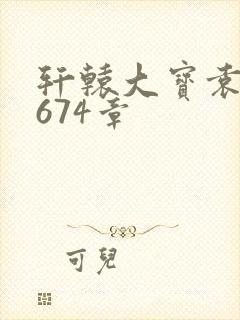 轩辕大宝袁雪妃674章