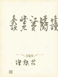 秦峰江晓晴的小说免费阅读