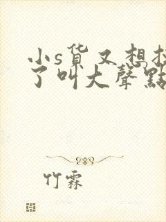 小s货又想挨c了叫大声点