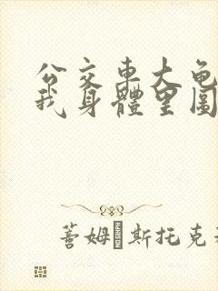 公交车大龟廷进我身体里图