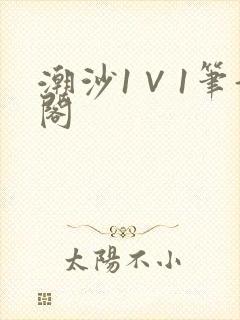 潮沙1∨1笔趣阁