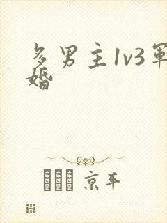 多男主1v3军婚