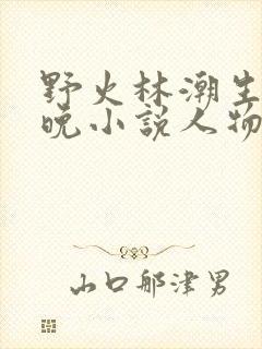 野火林潮生林晚晚小说人物野火