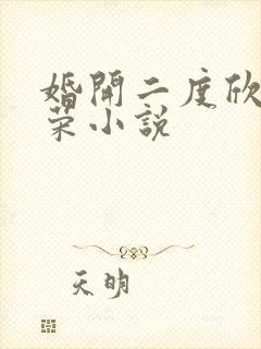 婚开二度欣欣向荣小说