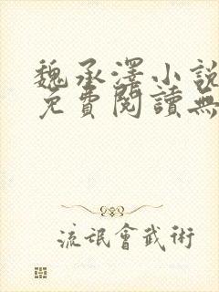 魏承泽小说全文免费阅读无弹窗笔趣