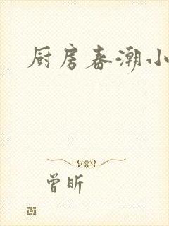 厨房春潮小说