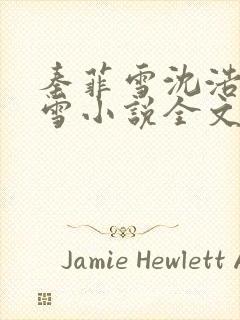 秦菲雪沈浩秦菲雪小说全文免费阅读求书