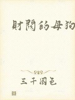 财阀的母狗们