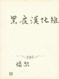 黑夜汉化组