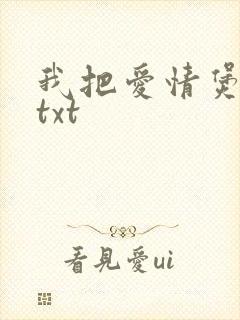 我把爱情煲成汤txt