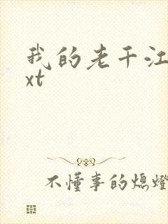 我的老千江湖txt