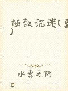 极致沉迷(臣年)