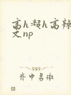 高h超h高辣h文np