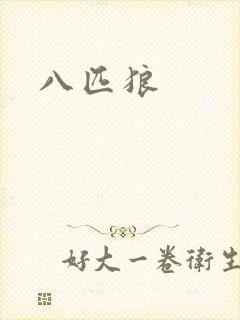 八匹狼