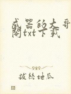 成器的大哥笔趣阁txt下载