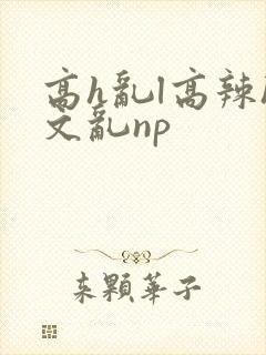 高h乱l高辣h文乱np