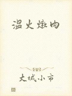 温火炖肉