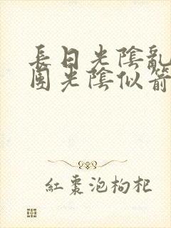 长日光阴乱作一团光阴似箭