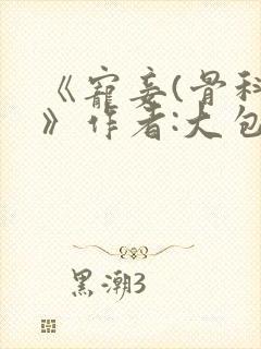 《宠妾(骨科)》作者:大包子