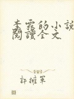 李霖的小说免费阅读全文