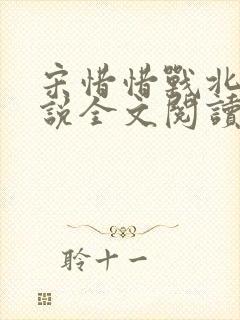 宋惜惜战北望小说全文阅读