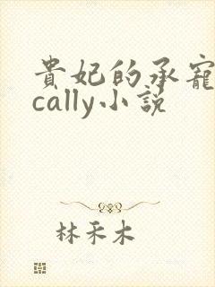 贵妃的承宠日常cally小说