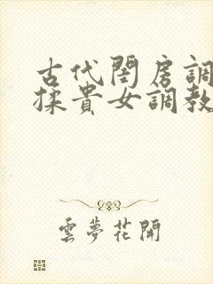古代闺房调教h揉贵女调教记