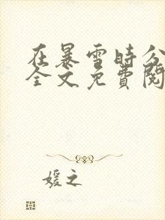 在暴雪时分小说全文免费阅读