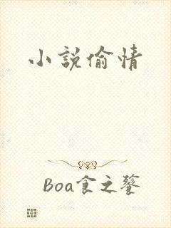 小说偷情