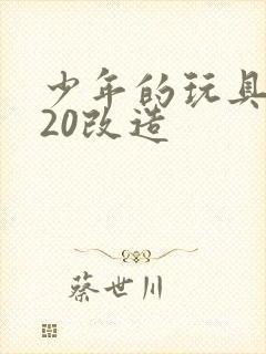 少年的玩具1一20改造