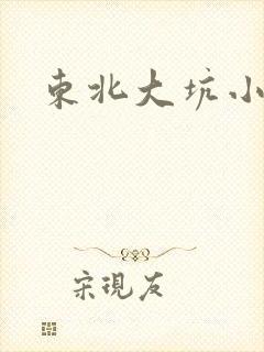 东北大坑小说