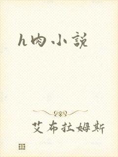 h肉小说