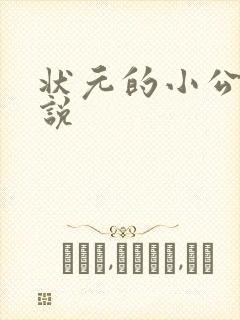 状元的小公主小说