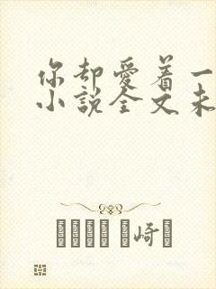 你却爱着一个他小说全文未删减免费