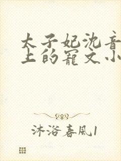 太子妃沈音和皇上的宠文小说