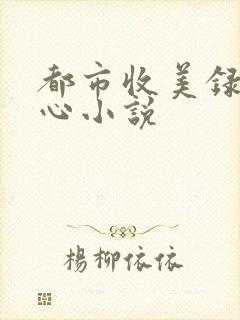 都市收美录宁素心小说