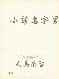 小说名字男生