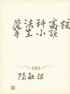 魔法科高校的劣等生小说