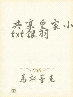 共享皇家小公主txt银羽
