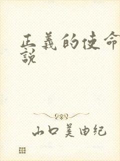 正义的使命 小说