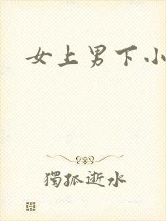 女上男下小说
