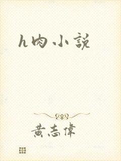 h肉小说
