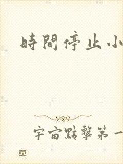 时间停止小说