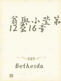 翁与小莹第十部12至16章