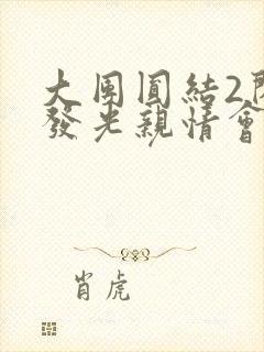 大团圆结2闪闪发光亲情会