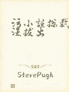 污小说总裁整夜没拔出