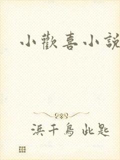 小欢喜小说