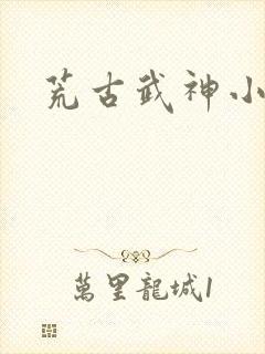 荒古武神小说